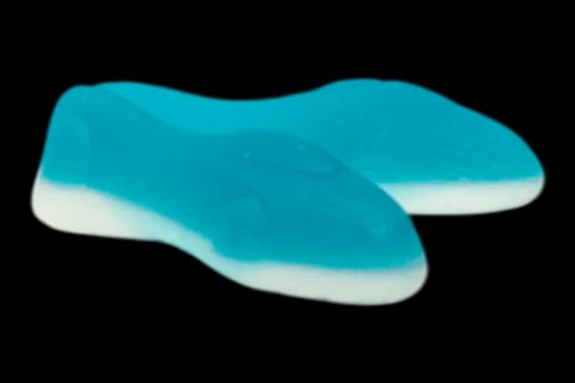 Sharks